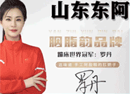 東阿胭脂韻阿膠